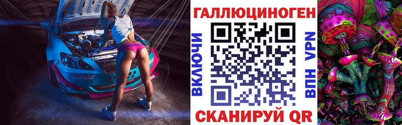 закладка  Курск  Псилоцибиновые грибы MAGIC MUSHROOMS 