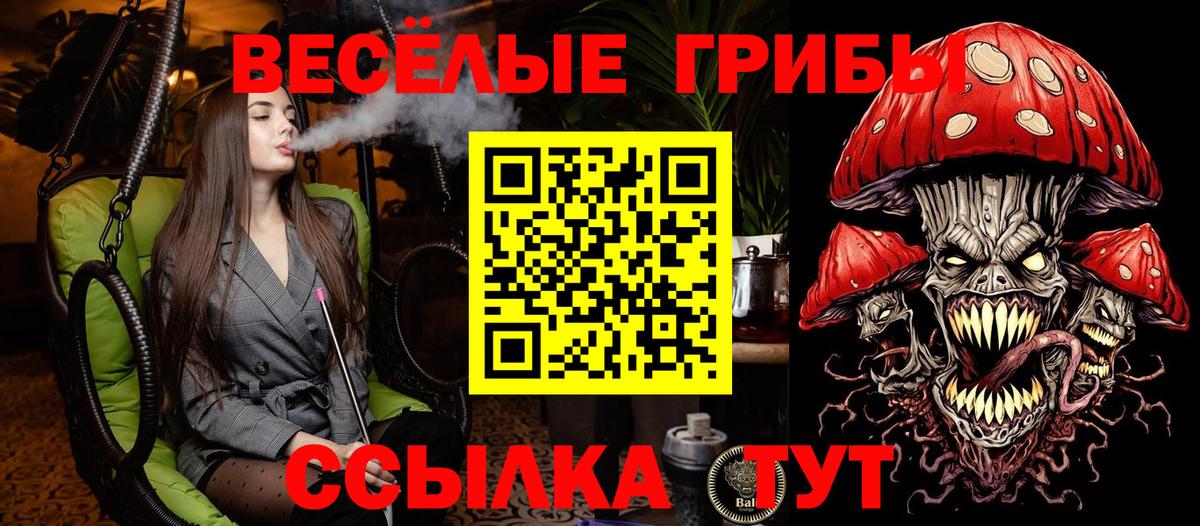 Псилоцибиновые грибы MAGIC MUSHROOMS Курск