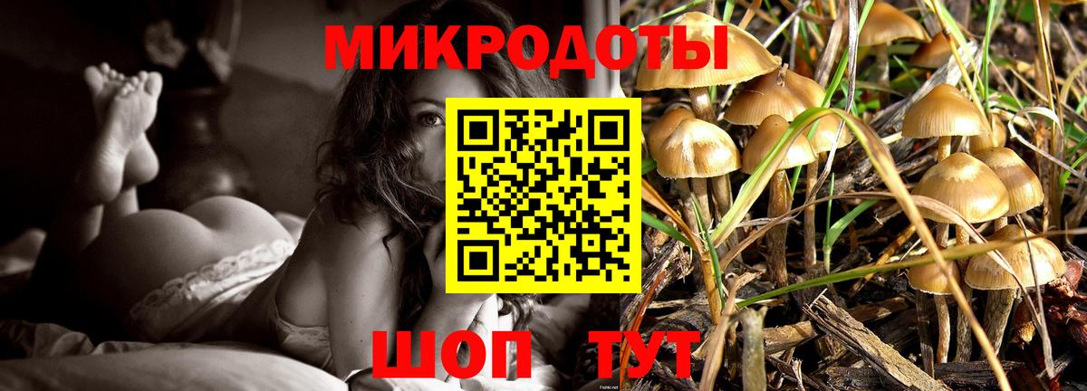 Курск  Галлюциногенные грибы ЛСД  Вход с VPN 